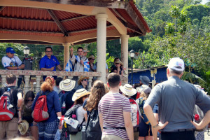 Photo 2019 01 14 12 18 49 7107