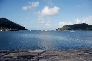 Photo 2019 01 15 08 54 27 726574