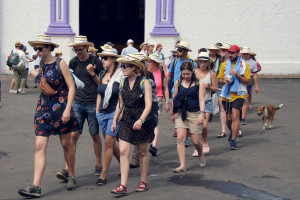 Photo 2019 01 16 14 11 48 7338