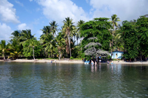 Photo 2019 01 16 15 11 57 7324