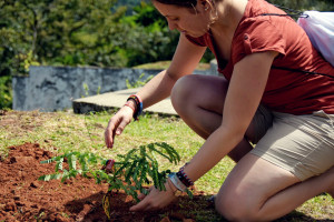 Photo 2019 01 17 12 08 46 7384