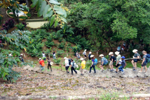 Photo 2019 01 17 13 36 21 7375