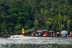 Photo 2019 01 21 08 34 50 7562