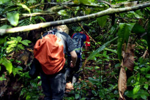 Photo 2019 01 21 09 50 00 7569